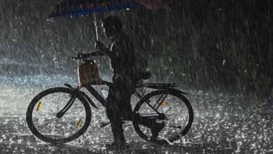 CG में अगले 5 तक के लिए ऑरेंज और यलो अलर्ट जारी, गरज-चमक के साथ बिजली और बारिश की संभावना