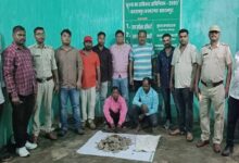 वन विभाग ने पैंगोलिन की 6 किलो स्केल के साथ दो तस्करों को किया गिरफ्तार