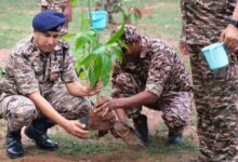 विश्व पर्यावरण दिवस के उपलक्ष में 65 वीं वाहिनी CRPF के F/ समवाय कुल्हाड़ीघाट में वृक्षारोपण का कार्यक्रम