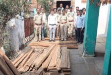 वन विभाग ने एक बड़ी कार्रवाई को दिया अंजाम, 50 हजार की अवैध इमारती लकड़ी जब्त