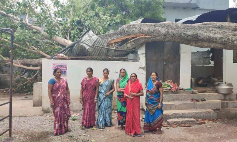 स्कूल के किचन शेड पर गिरा पीपल का पेड़, टला बड़ा हादसा स्कूल के किचन शेड पर गिरा पीपल का पेड़, टला बड़ा हादसा