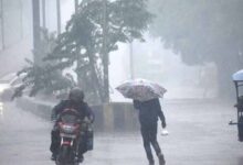 पूरे छत्तीसगढ़ में मानसून सक्रिय, कई इलाकों में 5 सेमी बारिश दर्ज