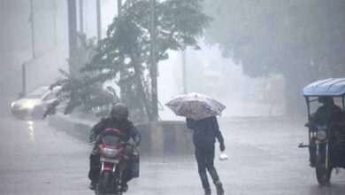 पूरे छत्तीसगढ़ में मानसून सक्रिय, कई इलाकों में 5 सेमी बारिश दर्ज