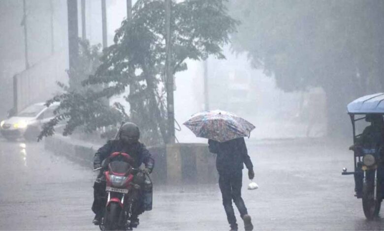 पूरे छत्तीसगढ़ में मानसून सक्रिय, कई इलाकों में 5 सेमी बारिश दर्ज