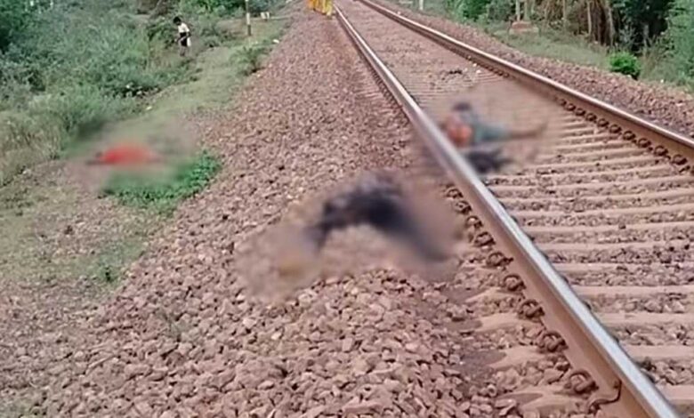 बालोद जिले में झारखंड से काम की तलाश में दल्लीराजहरा पहुंचे 2 मजदूरों की ट्रेन से कटकर मौत बालोद जिले में झारखंड से काम की तलाश में दल्लीराजहरा पहुंचे 2 मजदूरों की ट्रेन से कटकर मौत