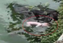रायपुर में मानवता शर्मसार: तालाब में तैरता हुआ मिला नवजात का शव