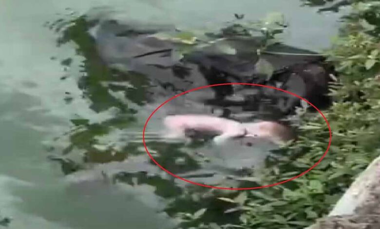 रायपुर में मानवता शर्मसार: तालाब में तैरता हुआ मिला नवजात का शव रायपुर में मानवता शर्मसार: तालाब में तैरता हुआ मिला नवजात का शव