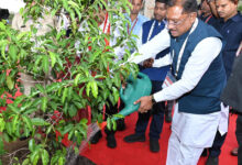 CG NEWS: मुख्यमंत्री विष्णु देव साय ने आईआईएम परिसर में ‘सुशासन वाटिका’ का किया शुभारंभ किया…