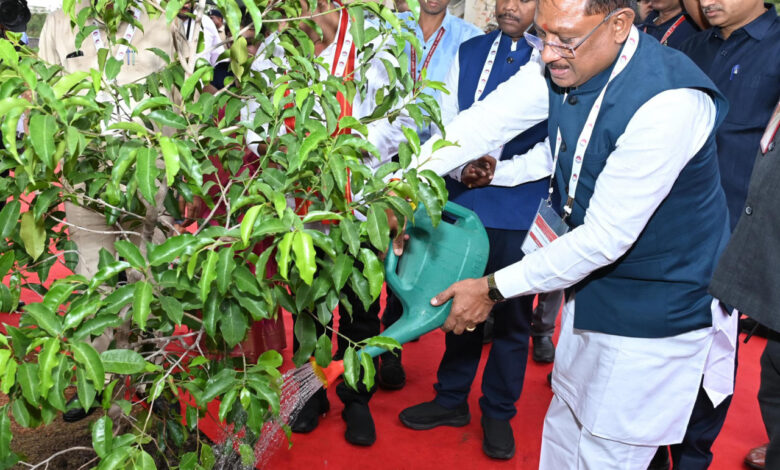 CG NEWS: मुख्यमंत्री विष्णु देव साय ने आईआईएम परिसर में ‘सुशासन वाटिका’ का किया शुभारंभ किया… CG NEWS: मुख्यमंत्री विष्णु देव साय ने आईआईएम परिसर में ‘सुशासन वाटिका’ का किया शुभारंभ किया…