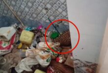 CG NEWS: किराना व्यापारी के घर के बाथरूम में घुसा तेंदुआ, इलाके में मचा हड़कंप, 2 घंटे की मशक्कत के बाद सुरक्षित निकाला गया तेंदुआ….