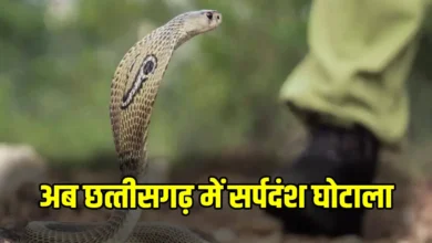 CG News : सर्पदंश मुआवजा घोटाले की जांच में बड़ा मोड़, 18 महीने बाद कब्र से निकाला गया शव, दोबारा होगा पोस्टमॉर्टम….