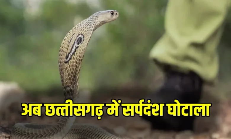 CG News : सर्पदंश मुआवजा घोटाले की जांच में बड़ा मोड़, 18 महीने बाद कब्र से निकाला गया शव, दोबारा होगा पोस्टमॉर्टम…. CG News : सर्पदंश मुआवजा घोटाले की जांच में बड़ा मोड़, 18 महीने बाद कब्र से निकाला गया शव, दोबारा होगा पोस्टमॉर्टम….