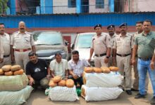 CG Crime News- नशे के खिलाफ बड़ी कार्रवाई: 105 किलो गांजा के साथ 3 अंतरराज्यीय तस्कर गिरफ्तार, यूपी ले जा रहे थे माल…