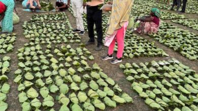 CG NEWS- मुख्यमंत्री विष्णु देव साय 21 जून को करेंगे चरण पादुका योजना का प्रदेशव्यापी शुभारंभ…