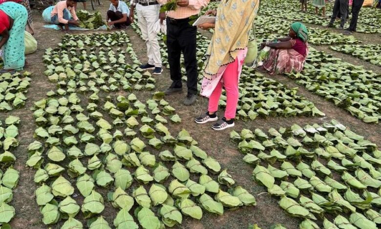 CG NEWS- मुख्यमंत्री विष्णु देव साय 21 जून को करेंगे चरण पादुका योजना का प्रदेशव्यापी शुभारंभ… CG NEWS- मुख्यमंत्री विष्णु देव साय 21 जून को करेंगे चरण पादुका योजना का प्रदेशव्यापी शुभारंभ…
