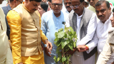 MP NEWS: मुख्यमंत्री डॉ. मोहन यादव ने विश्व पर्यावरण दिवस पर सिंदूर का पौधा रोपकर प्रकृति संरक्षण का दिया संदेश…