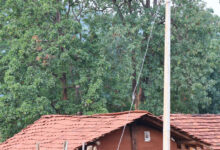 CG News: माओवाद से बदले माहौल की मिसाल बना बीजापुर का यह गांव, नेल्लानार योजना से आई विकास की रौशनी….