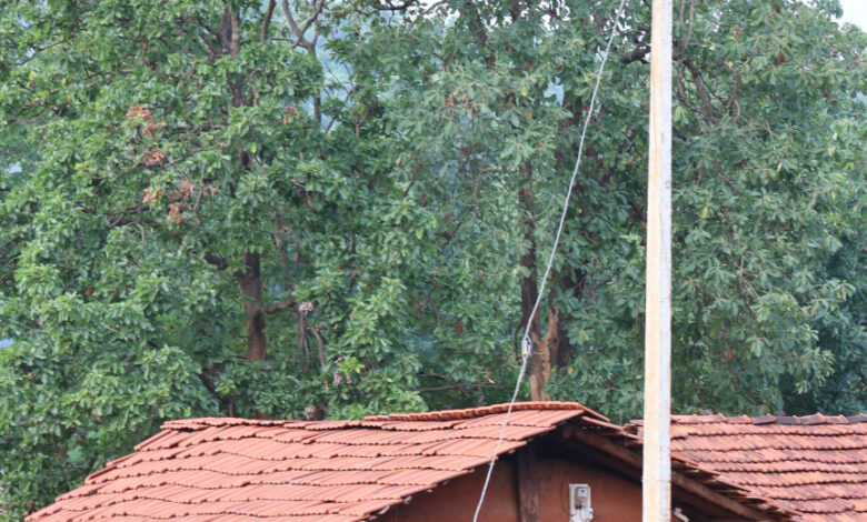 CG News: माओवाद से बदले माहौल की मिसाल बना बीजापुर का यह गांव, नेल्लानार योजना से आई विकास की रौशनी…. CG News: माओवाद से बदले माहौल की मिसाल बना बीजापुर का यह गांव, नेल्लानार योजना से आई विकास की रौशनी….