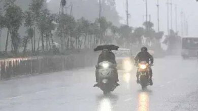 छत्तीसगढ़ में मॉनसून अब पूरे जोर पर, रायपुर में सुबह से हल्की बारिश