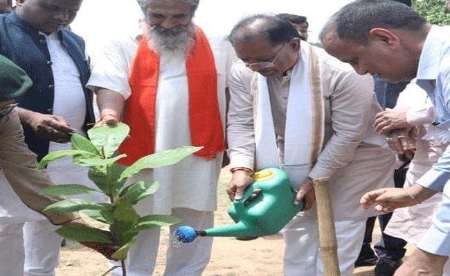 मुख्यमंत्री श्री साय ने बादाम का पौधा लगाया