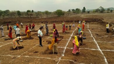 MP NEWS: मध्यप्रदेश में जल क्रांति: जल संरक्षण को मिला जनांदोलन का स्वरूप- मुख्यमंत्री डॉ. यादव….