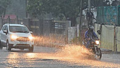 रायपुर : प्रदेश में अब तक 75.3 मि.मी. औसत वर्षा दर्ज