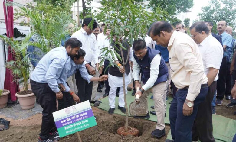 एक पेड़ माँ के नाम अभियान पर्यावरण संरक्षण का प्रतीक: मंत्री केदार कश्यप एक पेड़ माँ के नाम अभियान पर्यावरण संरक्षण का प्रतीक: मंत्री केदार कश्यप