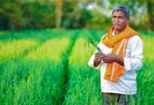 किसान अब मात्र 2 प्रतिशत प्रीमियम दर पर करा सकेंगे फसलों का बीमा, आखिरी तारीख का हुआ ऐलान