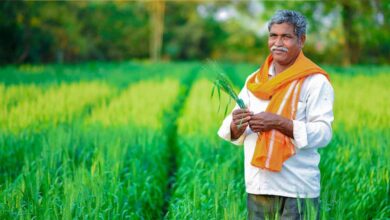किसान अब मात्र 2 प्रतिशत प्रीमियम दर पर करा सकेंगे फसलों का बीमा, आखिरी तारीख का हुआ ऐलान