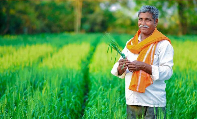 किसान अब मात्र 2 प्रतिशत प्रीमियम दर पर करा सकेंगे फसलों का बीमा, आखिरी तारीख का हुआ ऐलान