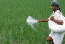 छत्तीसगढ़ में खाद की कोई कमी नहीं