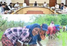 सरकार के नीतिगत फैसलों ने बढ़ाया छत्तीसगढ़ के किसानों का मान