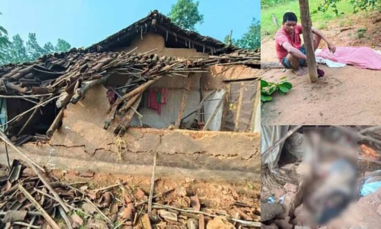 दहशत का कहर: हाथी के हमले में मासूम समेत 3 की दर्दनाक मौत दहशत का कहर: हाथी के हमले में मासूम समेत 3 की दर्दनाक मौत