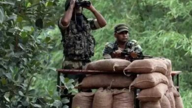 नक्सलियों की सेंट्रल कमेटी ने देशभर में मारे गए साथियों का आंकड़ा किया जारी किया, कुल 357 साथी मारे गए