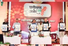 मुख्यमंत्री विष्णु देव साय ने कहा : छत्तीसगढ़ अंजोर विज़न@2047 जनता को समर्पित