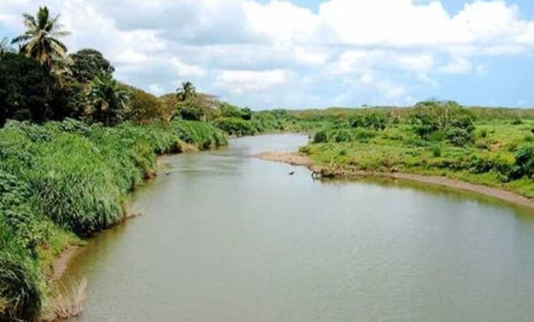 रायपुर : लमती जलाशय के निर्माण कार्यों के लिए 242.77 करोड़ रूपए स्वीकृत रायपुर : लमती जलाशय के निर्माण कार्यों के लिए 242.77 करोड़ रूपए स्वीकृत