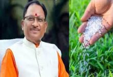 डीएपी की कमी पर बोले सीएम साय – किसानों को नहीं होगी परेशानी, विकल्प के रूप में उपलब्ध हैं नैनो डीएपी, एनपीके और एसएसपी….