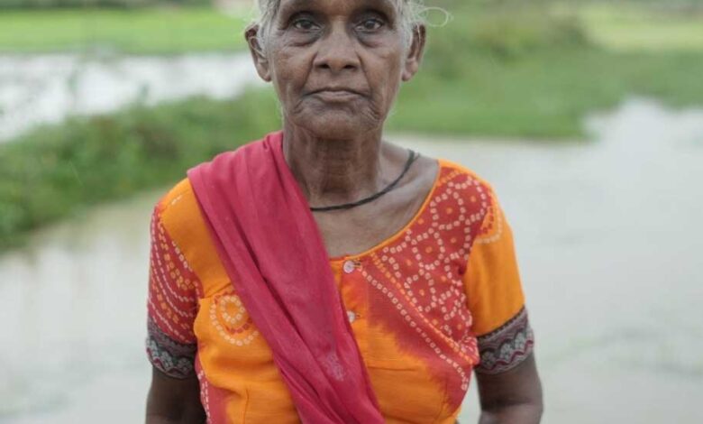 वृद्ध महिलाओं के लिए वरदान बनी महतारी वंदन योजना वृद्ध महिलाओं के लिए वरदान बनी महतारी वंदन योजना