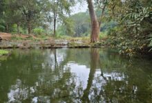 बारिश में बस्तर के प्राकृतिक सौंदर्य का अनुपम नजारा