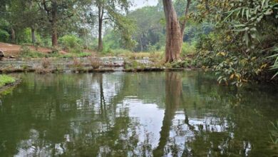 बारिश में बस्तर के प्राकृतिक सौंदर्य का अनुपम नजारा