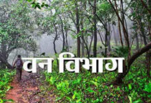 CG News- वन अधिकारों की मान्यता में अग्रणी छत्तीसगढ़ : व्यक्तिगत और सामुदायिक अधिकारों के वितरण में निभा रहा सराहनीय भूमिका….