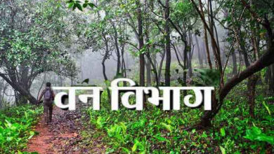 CG News- वन अधिकारों की मान्यता में अग्रणी छत्तीसगढ़ : व्यक्तिगत और सामुदायिक अधिकारों के वितरण में निभा रहा सराहनीय भूमिका….