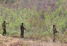 छत्तीसगढ़ के सुकमा से 05 लाख की इनामी महिला नक्सली गिरफ्तार