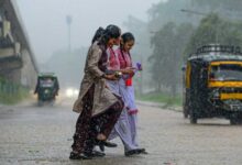रायपुर : प्रदेश में अब तक 453.0 मि.मी. औसत वर्षा दर्ज