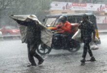 धमतरी : जिले में अब तक 275 मि.मी. औसत वर्षा दर्ज