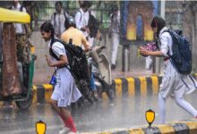 महासमुंद : जिले में अब तक 274.3 मिलीमीटर औसत वर्षा