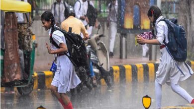 महासमुंद : जिले में अब तक 274.3 मिलीमीटर औसत वर्षा