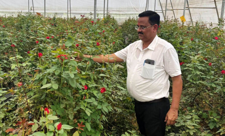 फूलों की खेती से बदल गई किस्मत: किसान दिनेश सिंह सालाना कमा रहे 10 लाख रुपये…. फूलों की खेती से बदल गई किस्मत: किसान दिनेश सिंह सालाना कमा रहे 10 लाख रुपये….