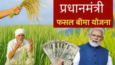 प्रधानमंत्री फसल बीमा योजना अंतर्गत बीमा कराने की अंतिम तिथि आज….