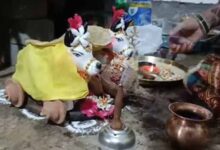 प्रदेश में धूमधाम से मनाया जा रहा पोला तिहार, बैलों की सजावट ने बढ़ाई रौनक